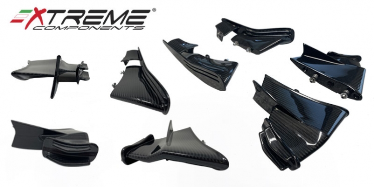 NEW EPOTEX WINGLETS FOR BMW M1000RR 2024