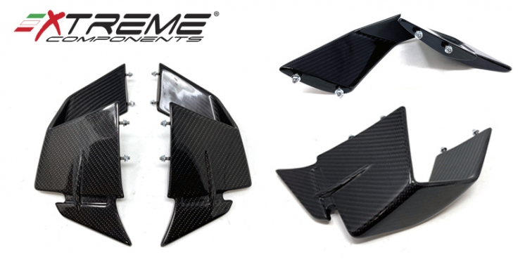 NEW PRODUCT: New Carbon Fiber winglets for BMW M1000RR